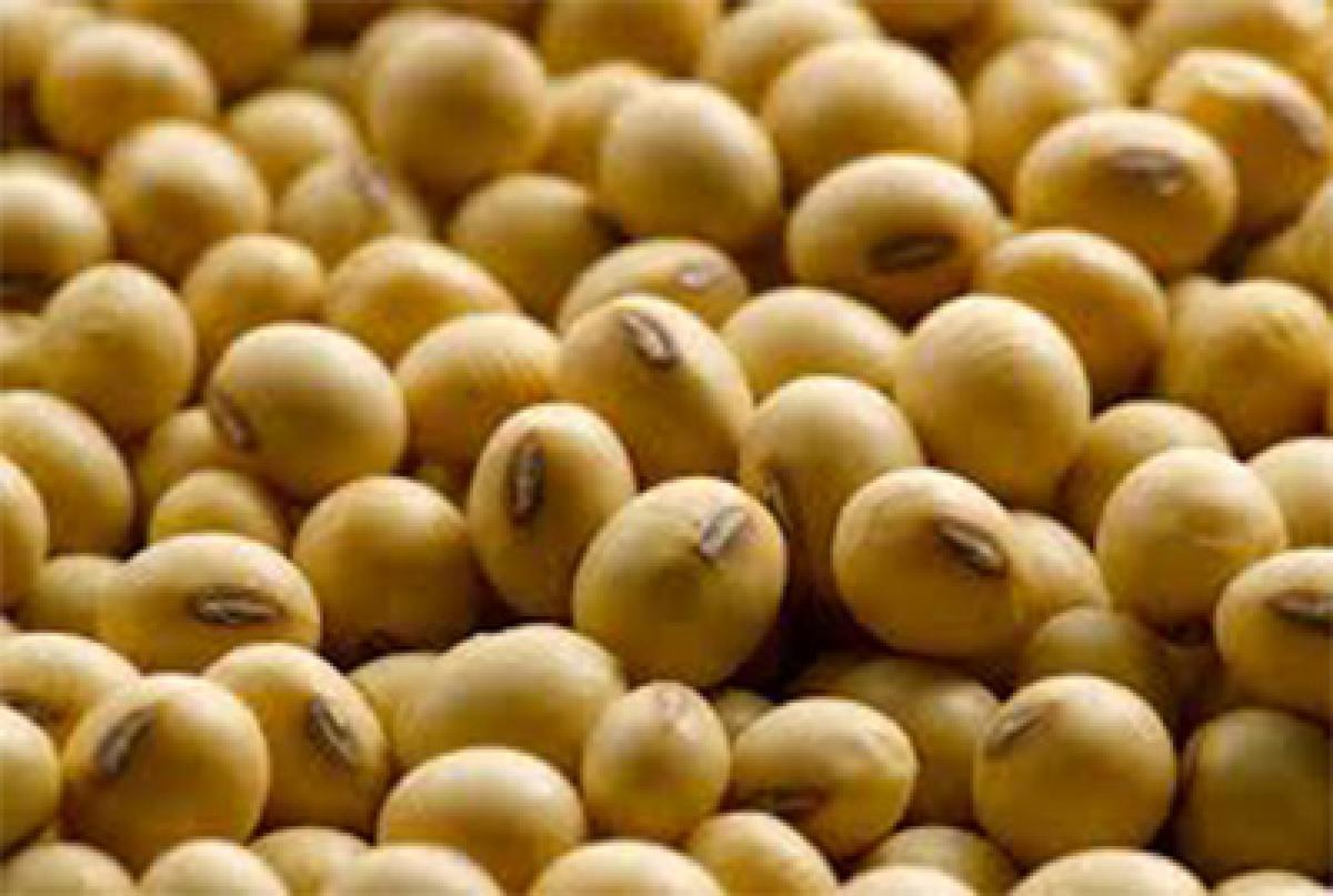 TS ranks first in soya production, says study